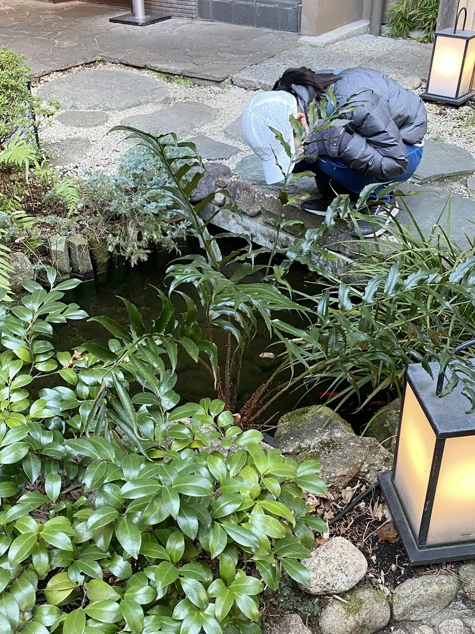 翔山亭神楽坂本館の庭