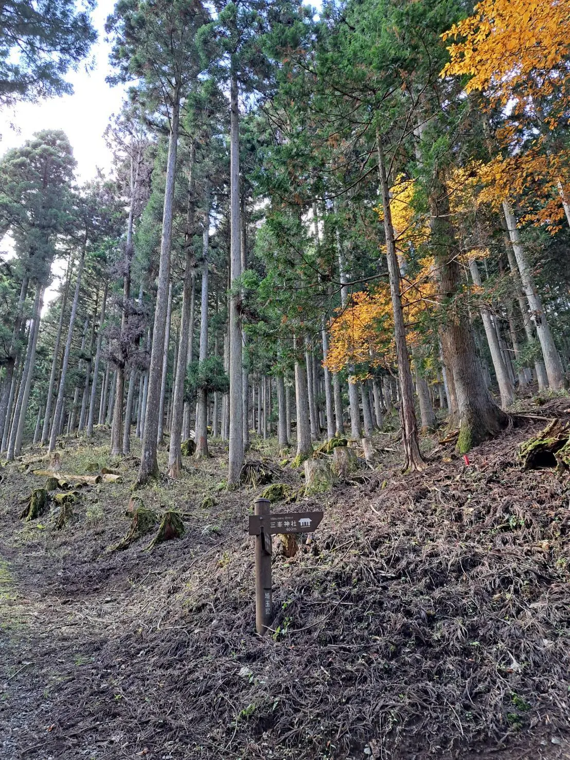 登って登って、あと460メートル！