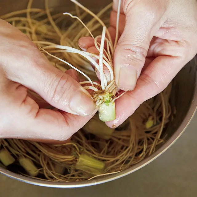 せりの根は食物繊維など の栄養が豊富で、食感も いい。