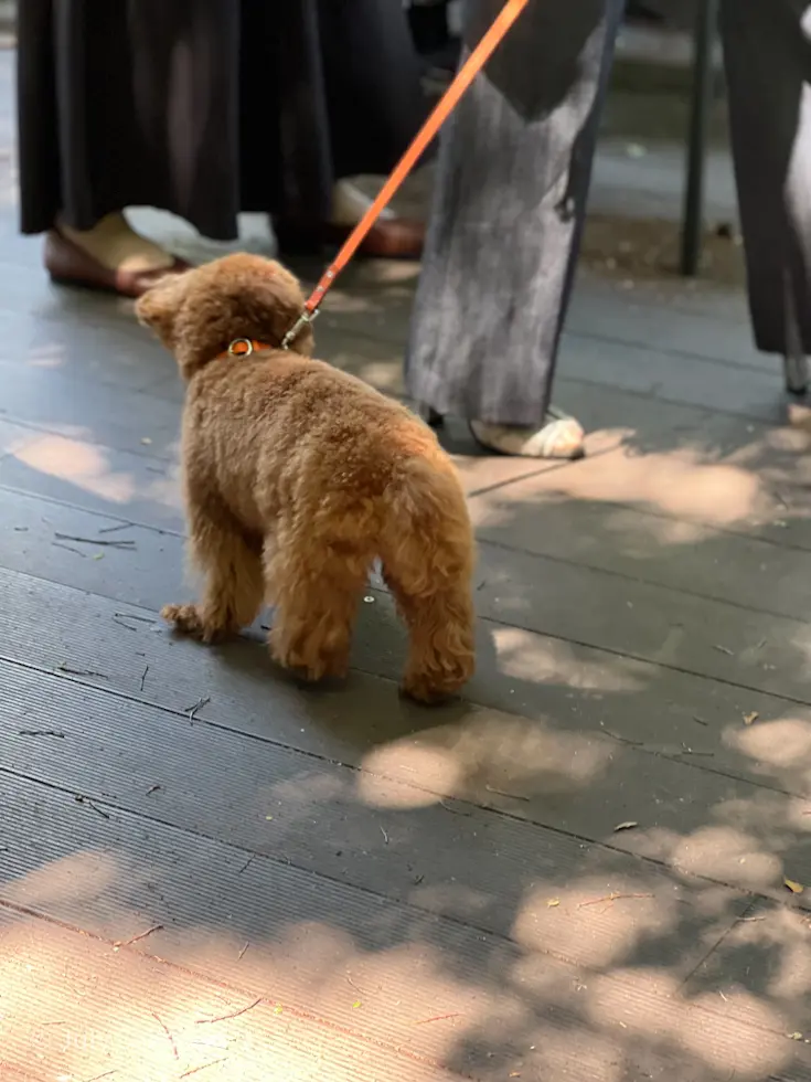 ☆PRADA★pop upに行ってみた@の画像_7