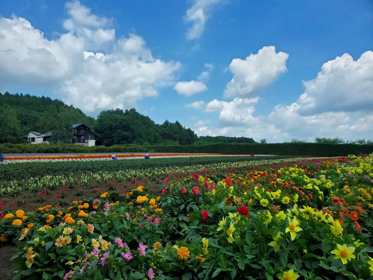 色とりどりの綺麗なお花も満開でした。