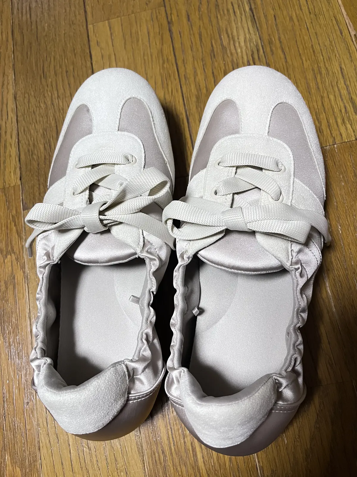 らくらくスニーカーで目白界隈1人散歩の画像_1