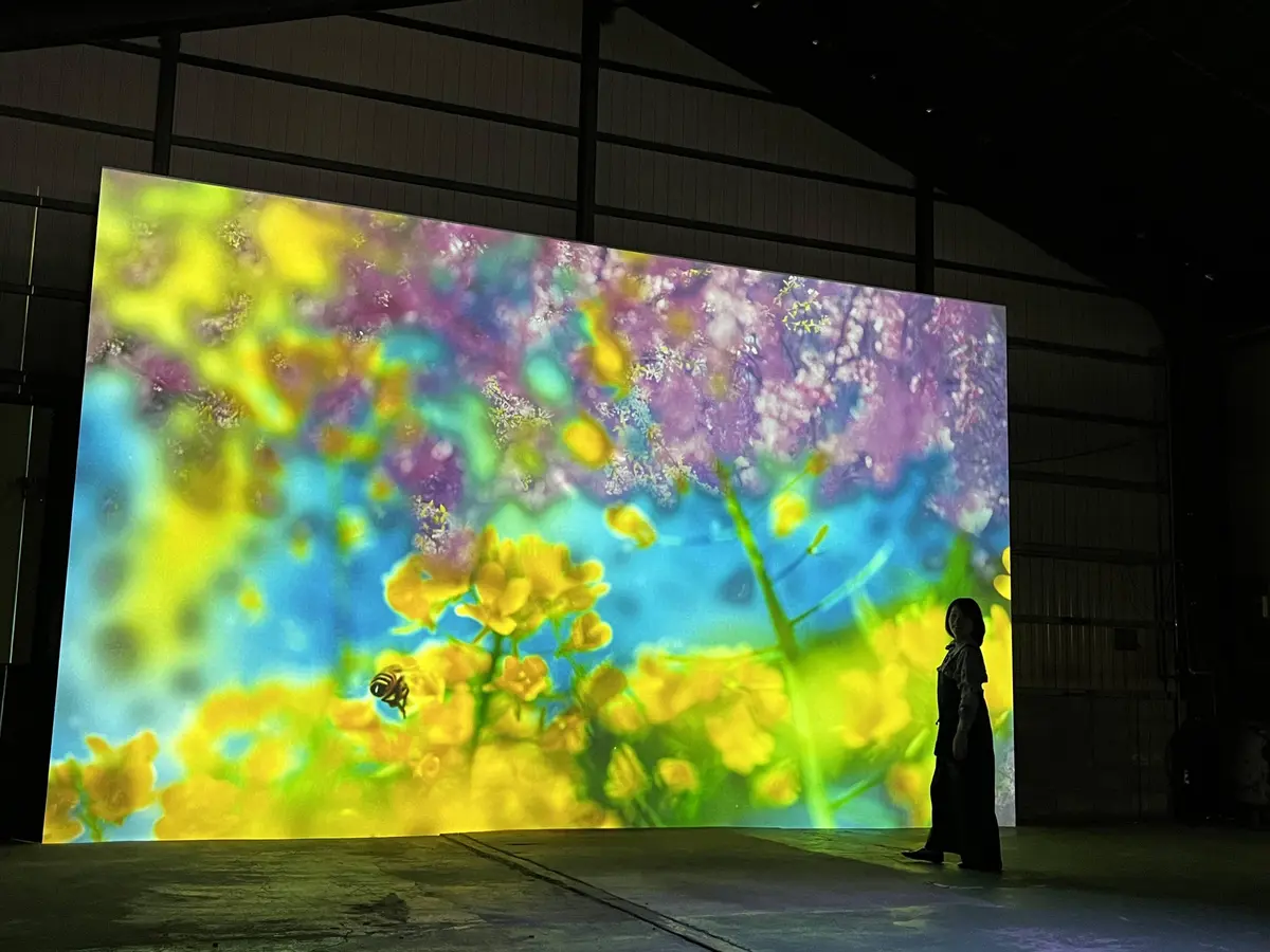 『蜷川実花展 with EiM Lighの画像_3