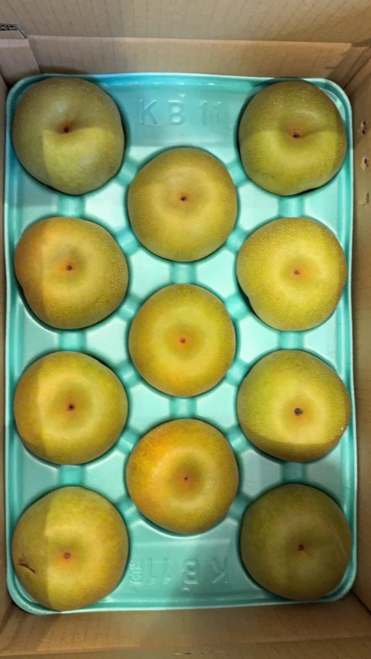 梨のお土産　果物好きな人と繋がりたい　幸水　梨好きな人と繋がりたい