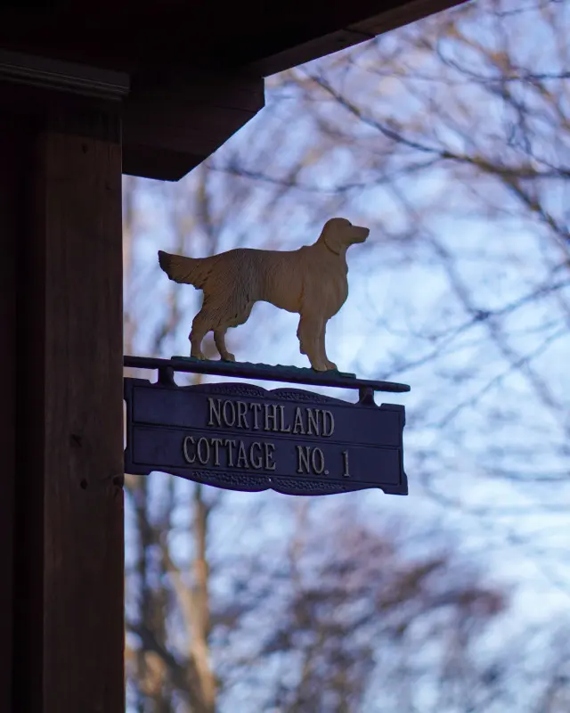 北軽井沢のコテージで薪ストーブクッキングの画像_1