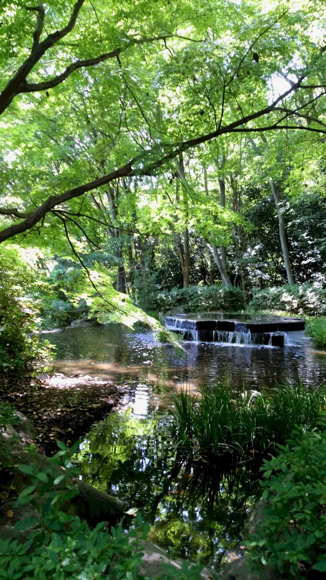 ゆったりのんびり　夏休みを過ごすの画像_8