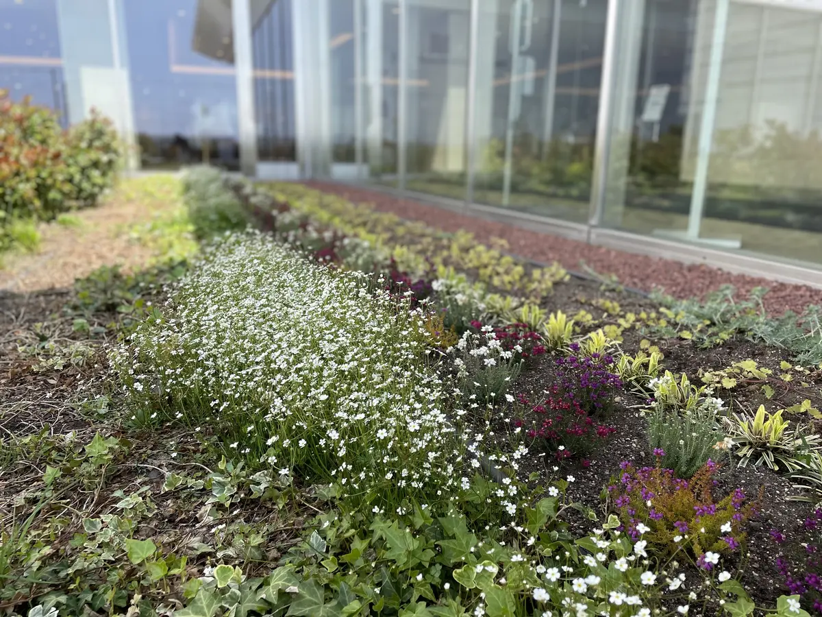 bon appétit♡ROYCE CAの画像_3