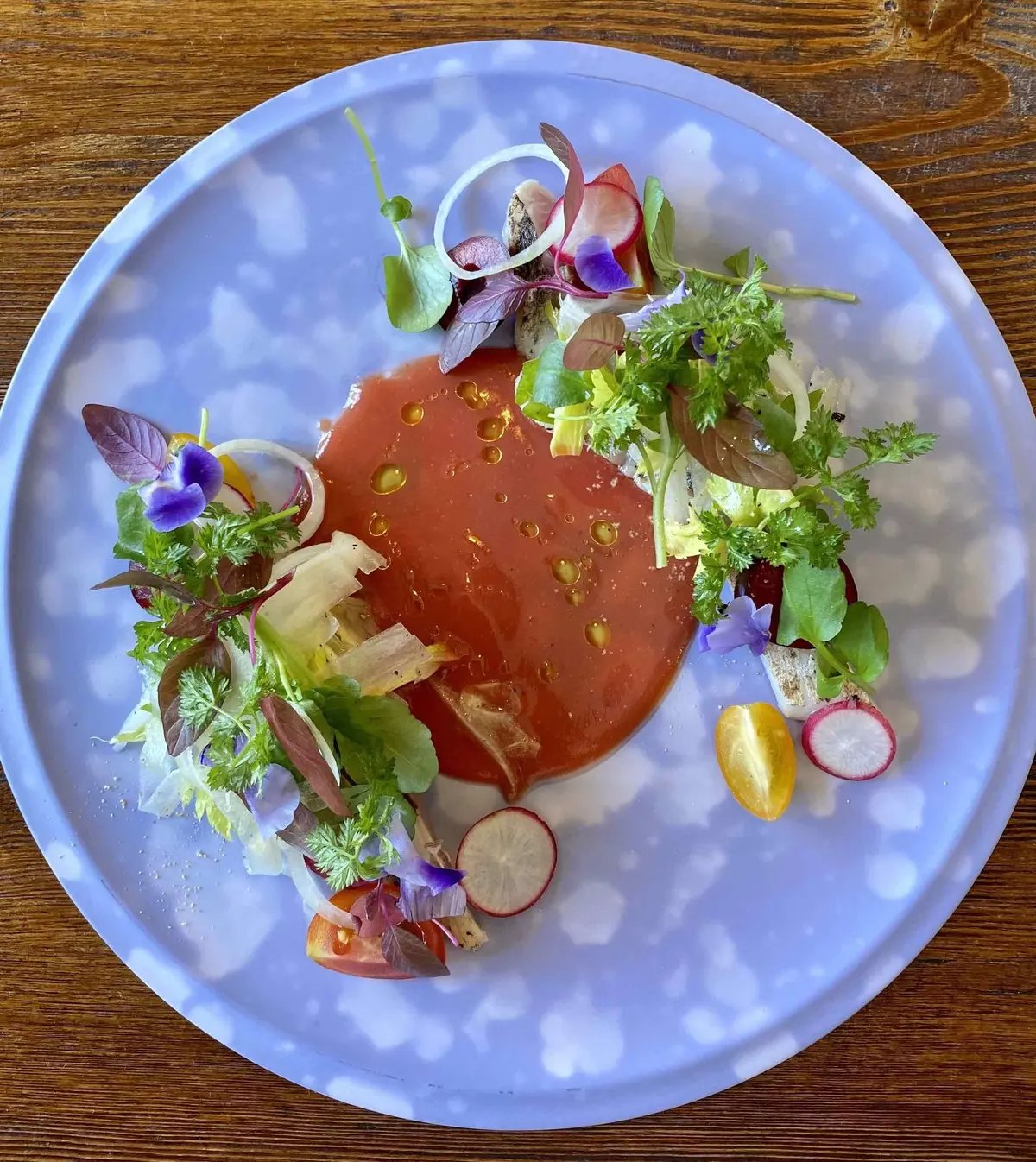 前菜　縞鯵のマリネ