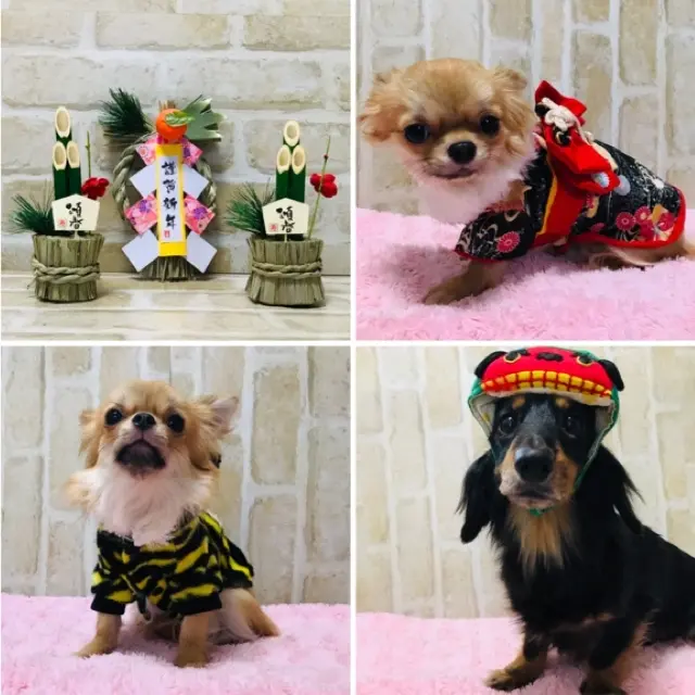 幸せを呼ぶ《七福神巡り》の画像_14