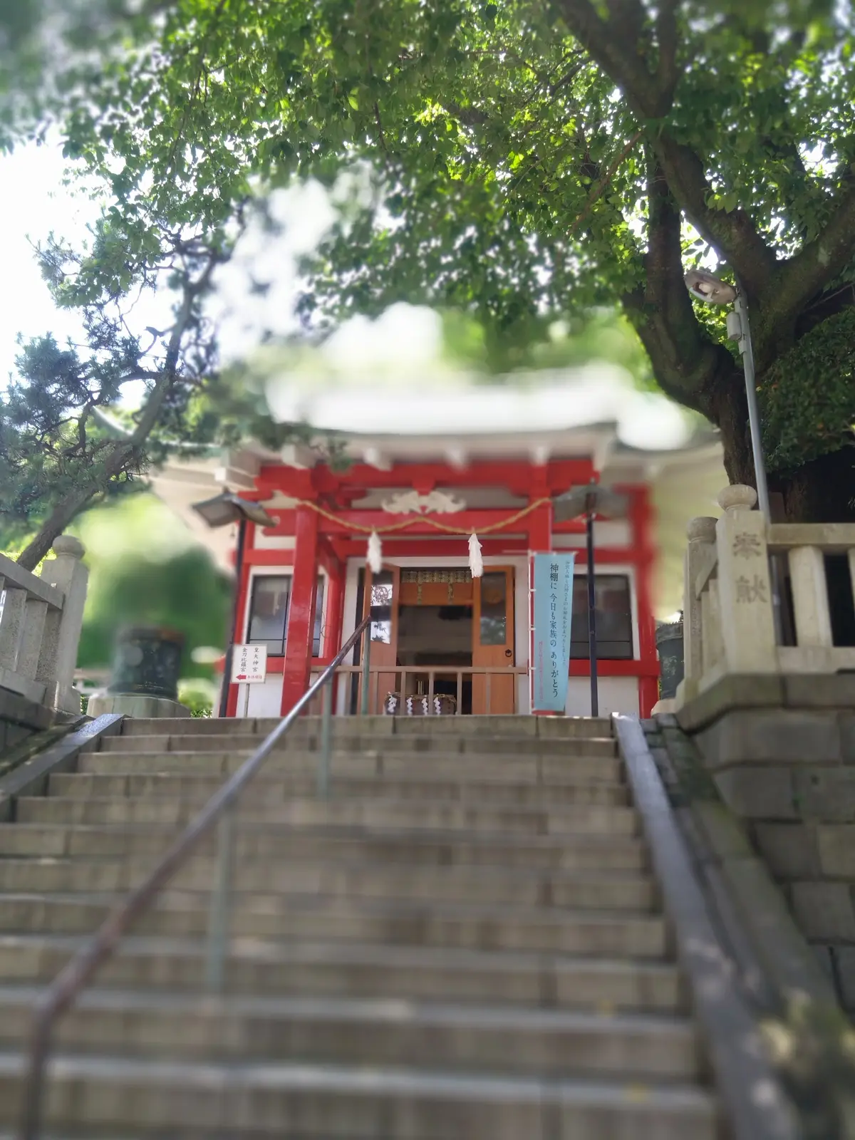 横浜元町商店街、厳島神社、花手水、紫陽花