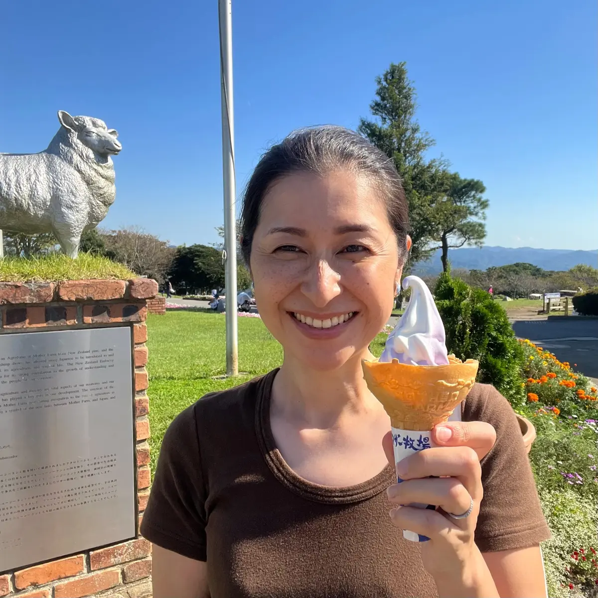 千葉県の「マザー牧場」内　ブルーベリーとミルクのミックス味のソフトクリーム