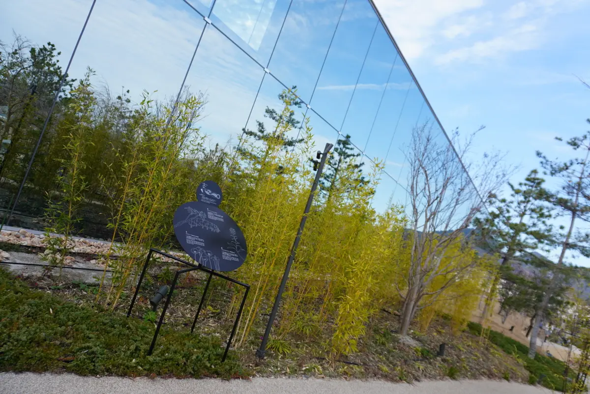 グルッと３６０度美しい!!おススメのインの画像_16