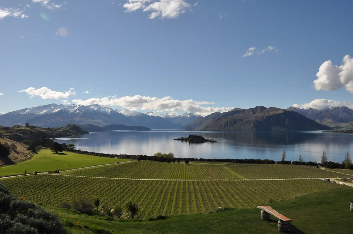 “ニュージーランドのロマネ コンティ”との画像_1