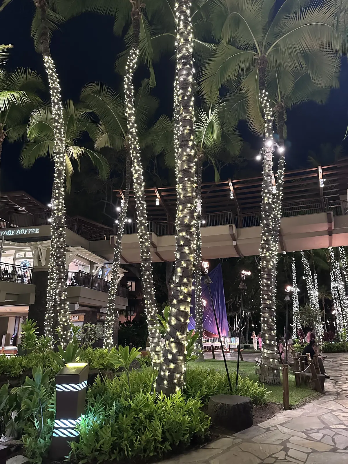 Hawaii ホテルを移動しての画像_13