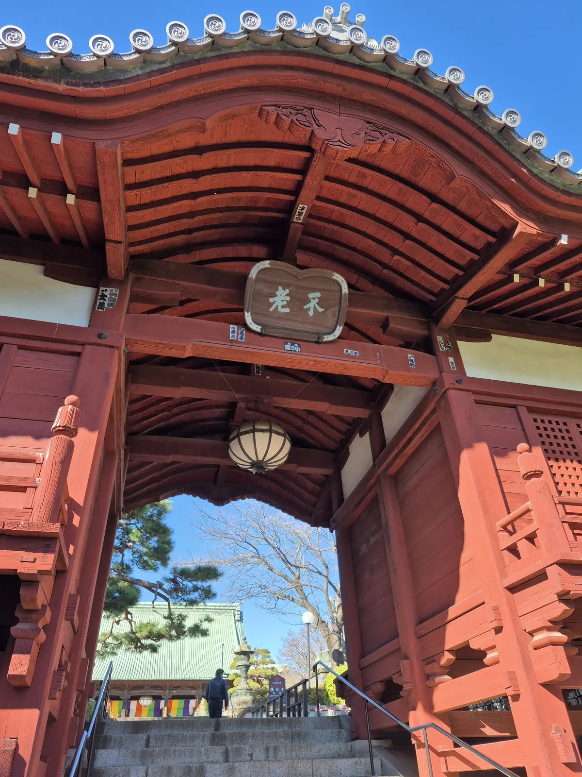 2026年【初詣レポ】護国寺のパワースポの画像_3