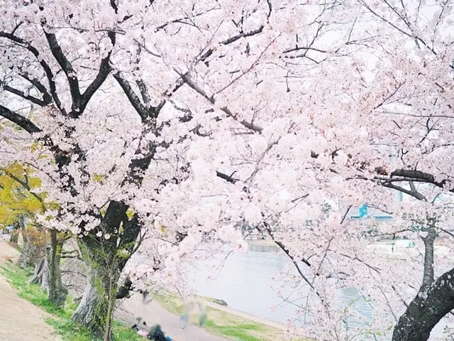 エクラ5月号｢チームJマダム白書」に掲載の画像_8