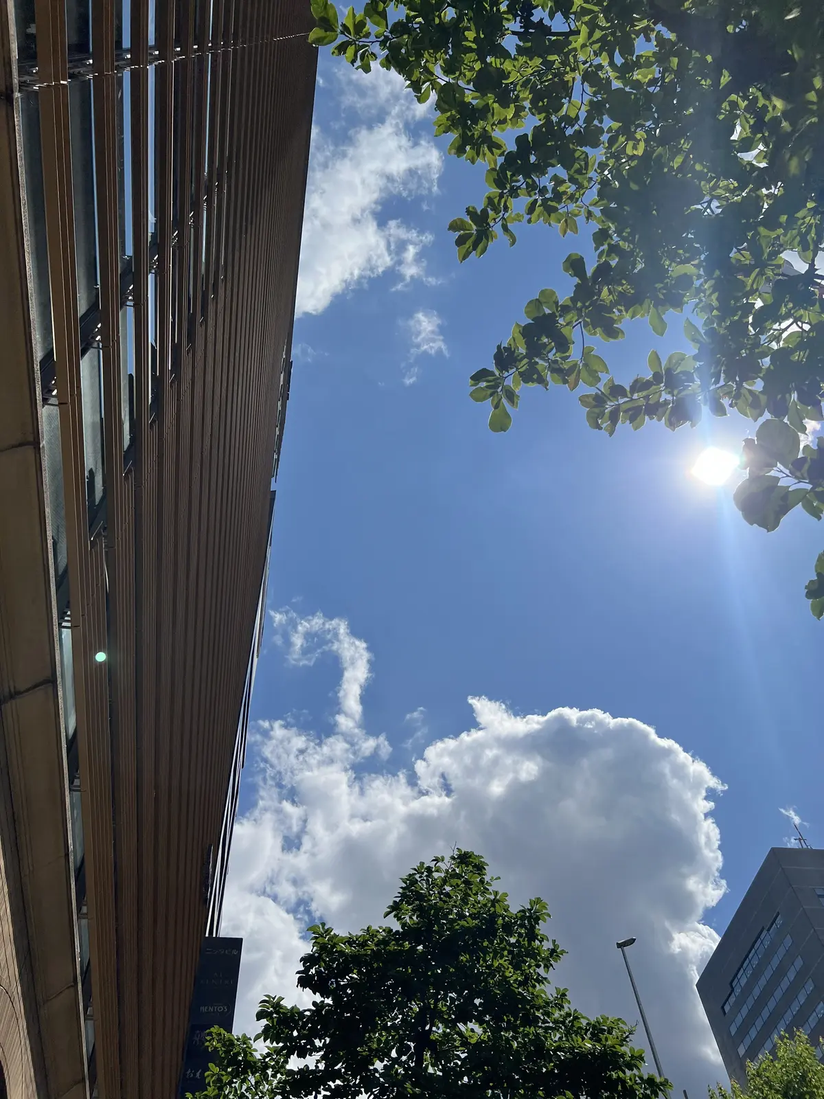 母と2人で銀ブラ@ 東京會舘 Drapeの画像_13