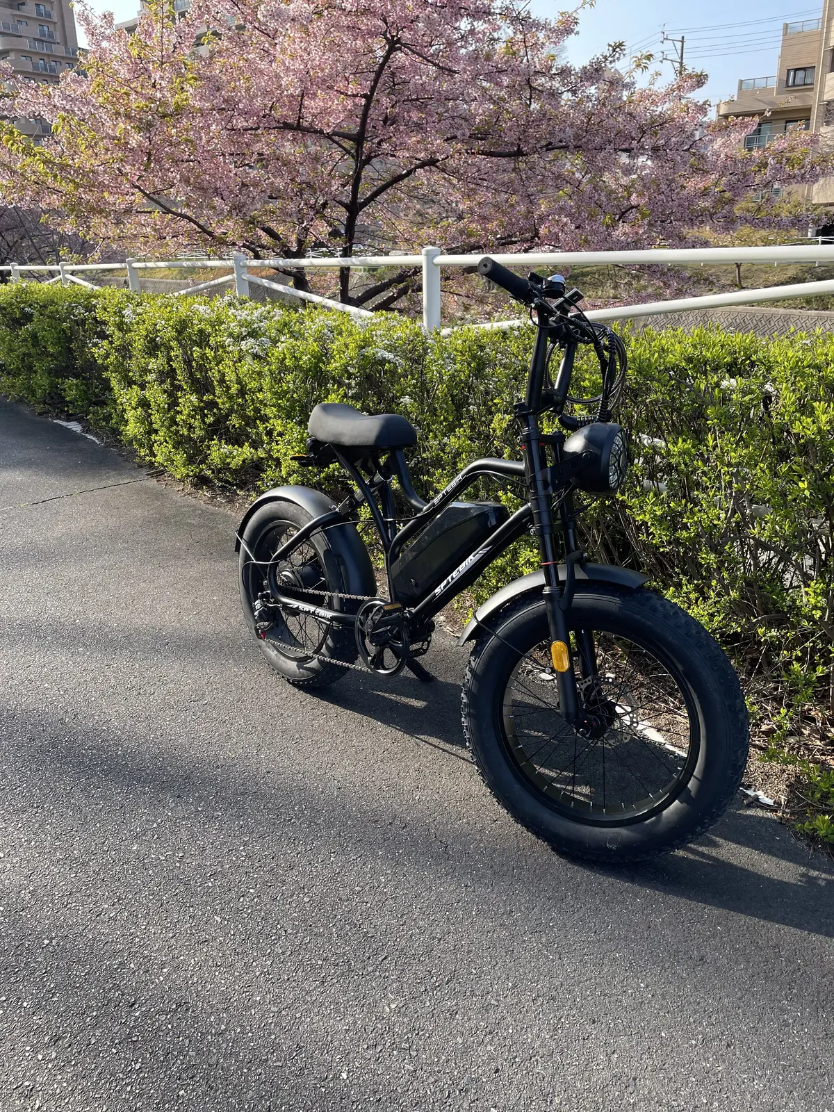 私の新しい相棒を紹介します。の画像_2