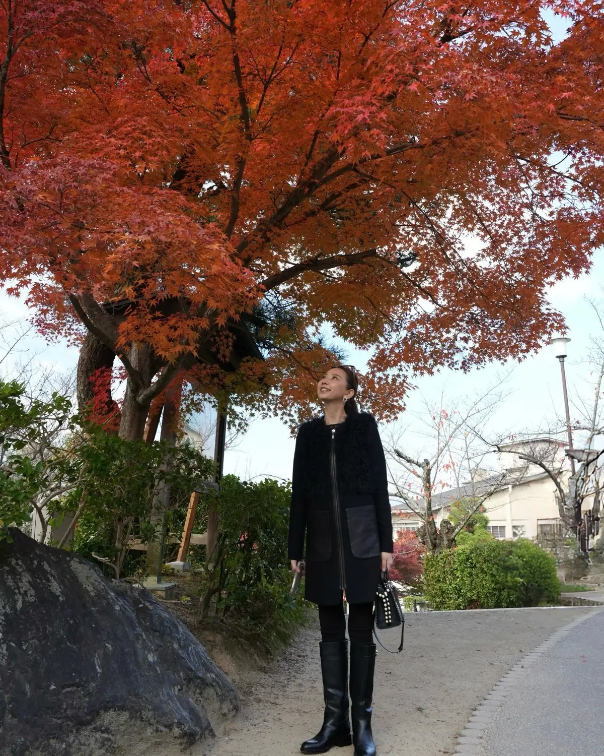 「そうだ京都、行こう。」🍂✨の画像_5