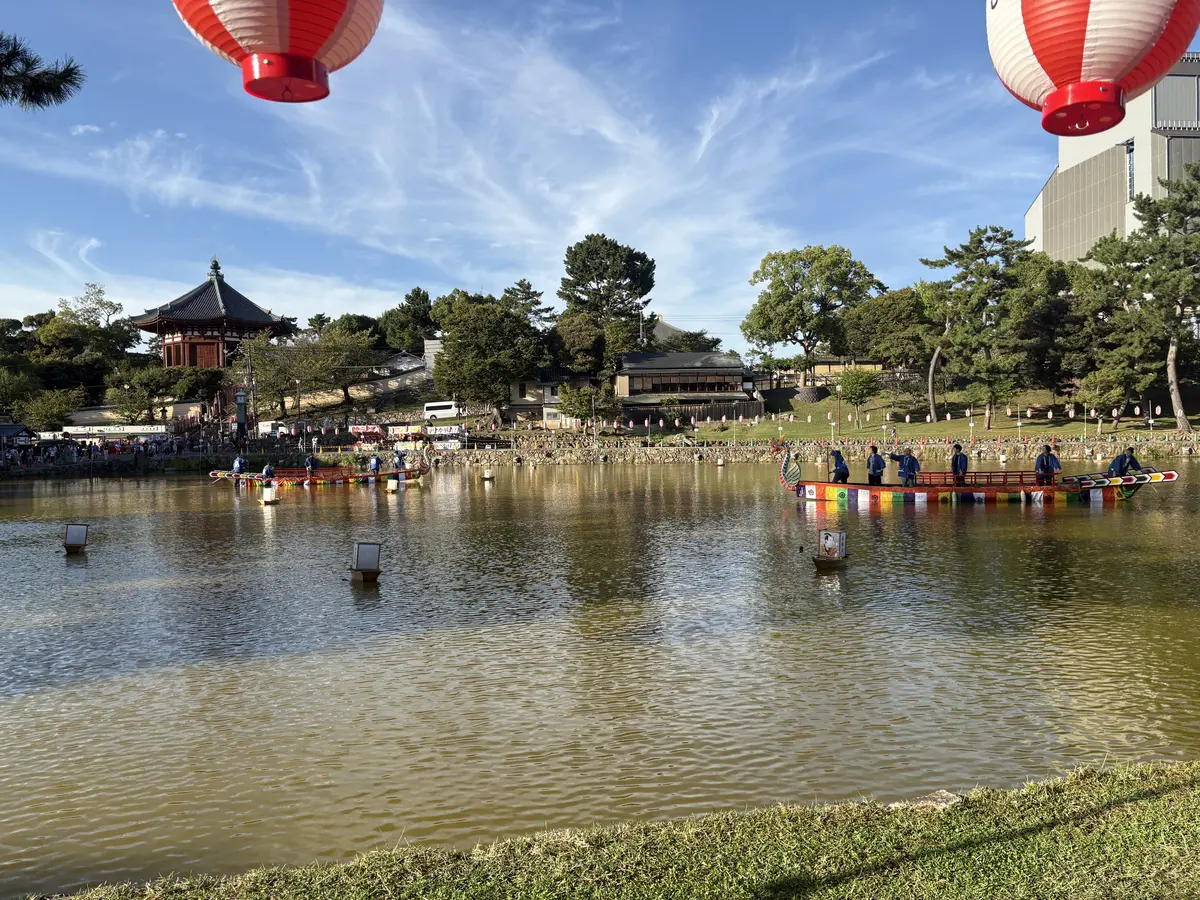 極上の奈良の朝、神秘的な光景。の画像_4