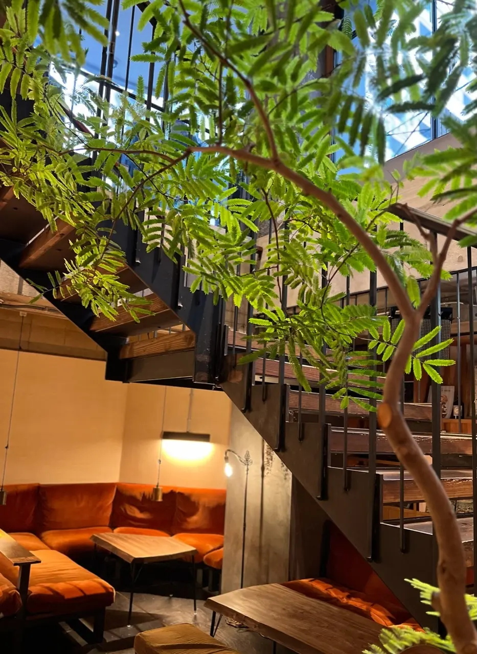 大人の帽子コーデ♡日本橋で朝ごはんの画像_14