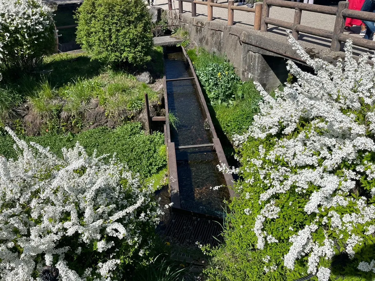 山中湖アラフィー女子旅♡感動の忍野八海編の画像_3