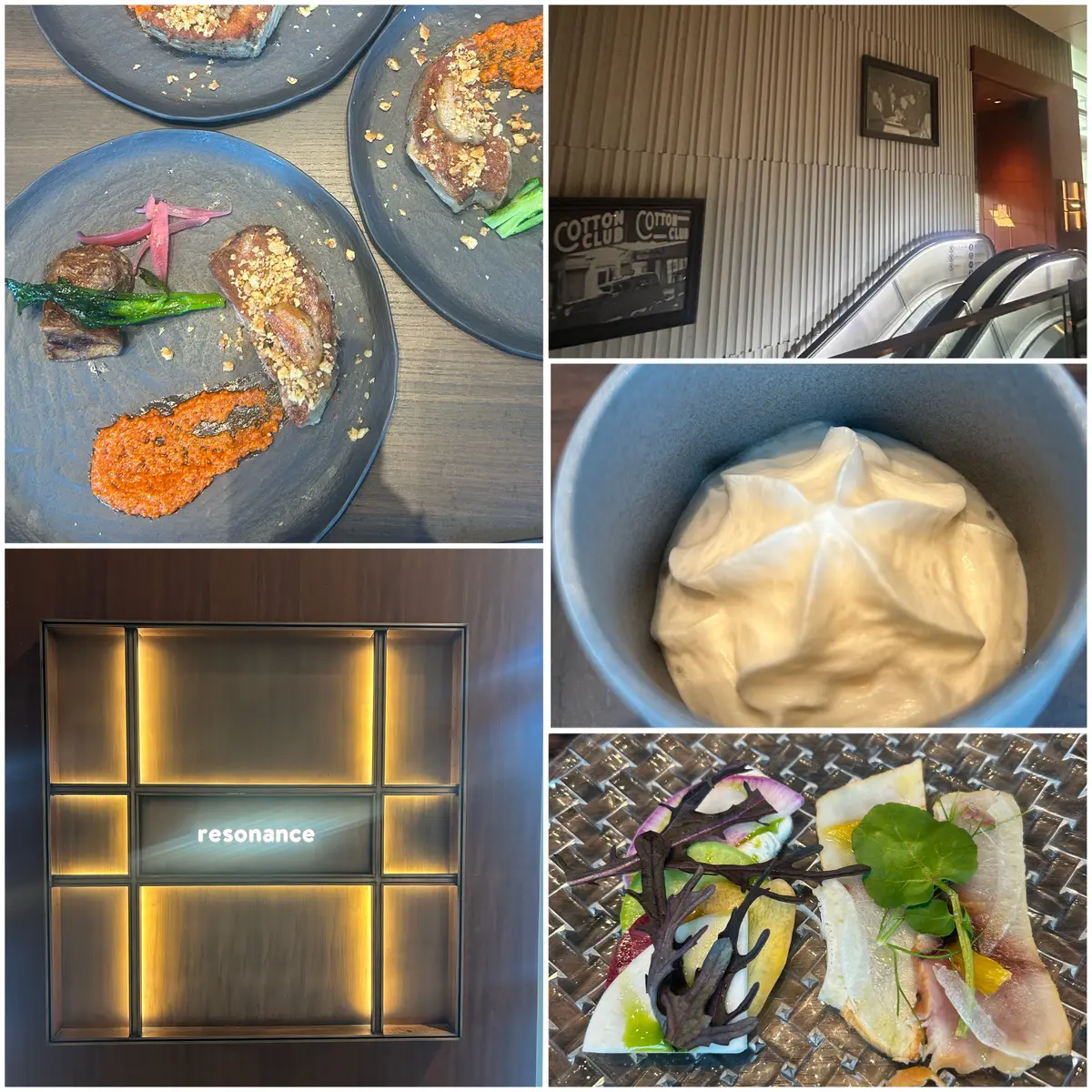 丸の内ランチ　丸の内女子会　丸の内resonance