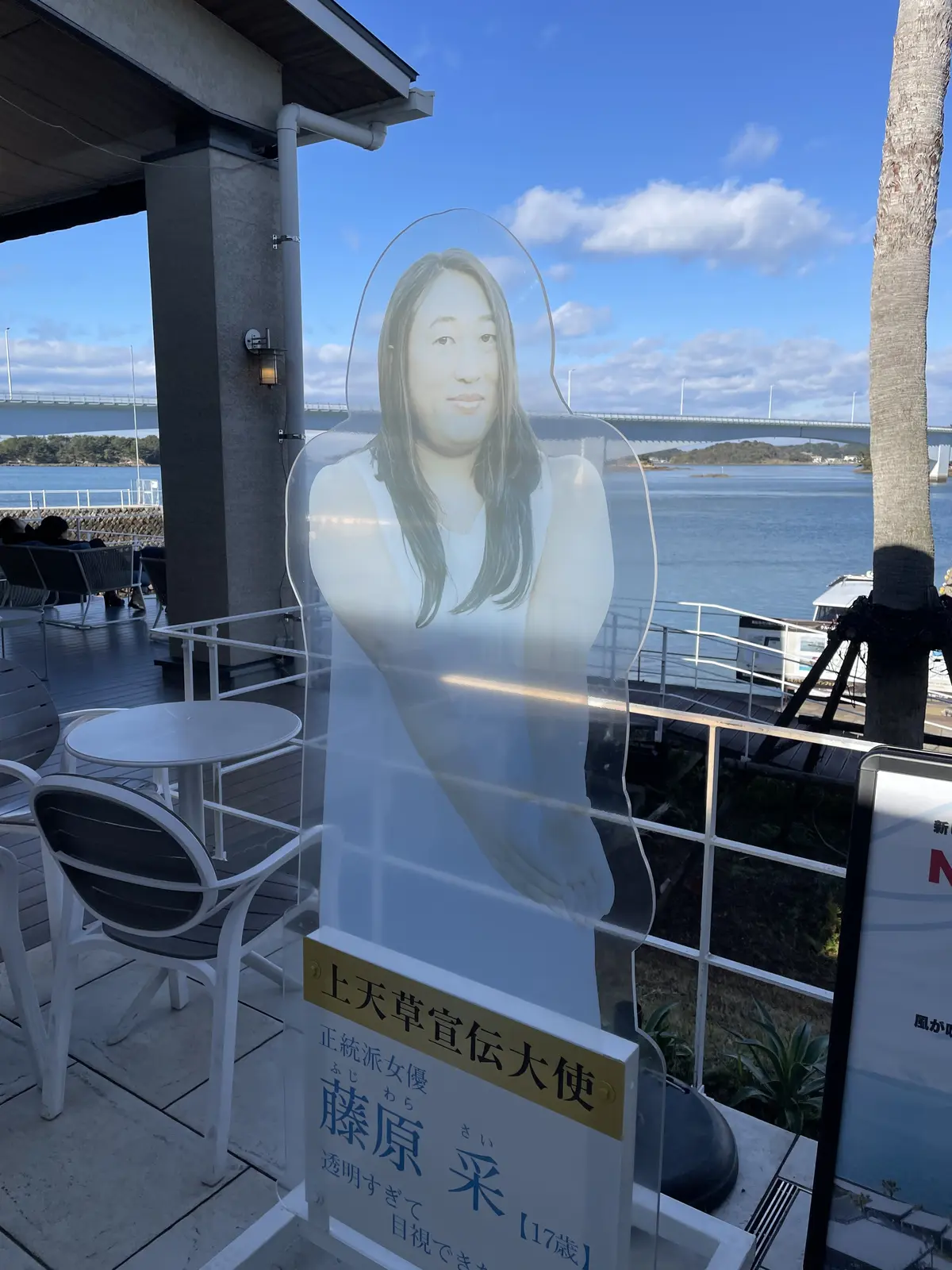 熊本県・上天草市（姫戸）へルーツの旅の画像_14