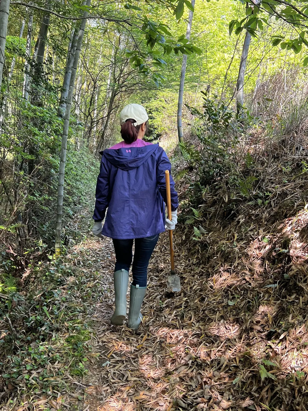 旬の恵みを求めて（G.Wパート1）の画像_3