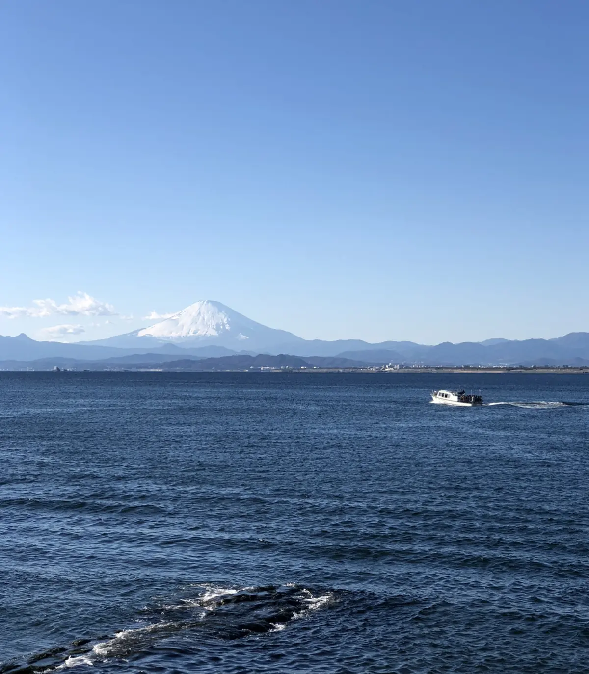 モノトーンコーデで愛犬と初詣の画像_4