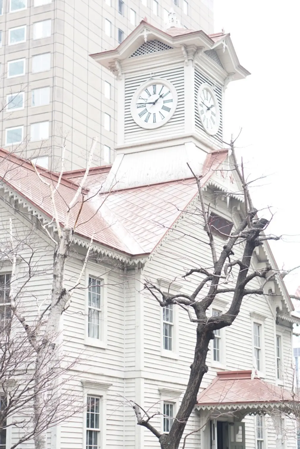 弾丸日帰り北海道の旅 ①の画像_5