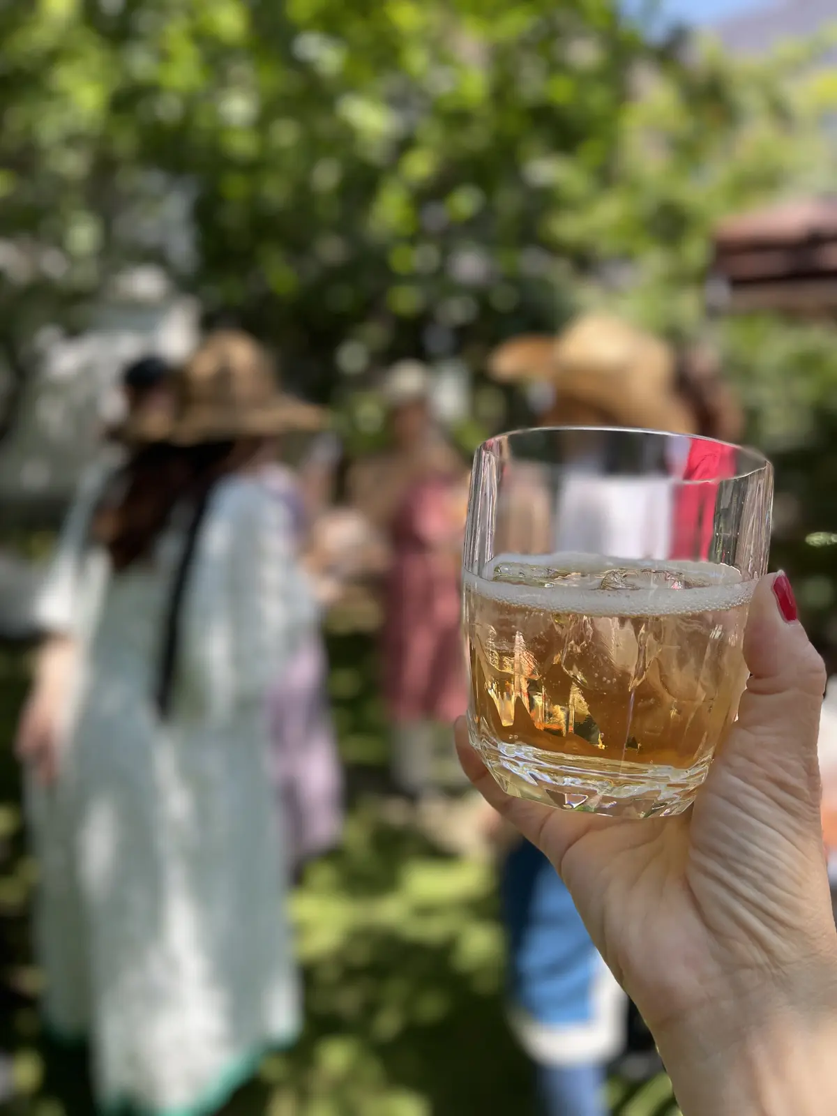 唯一無二♡素敵なガーデンで梅＆杏仕事のレの画像_4