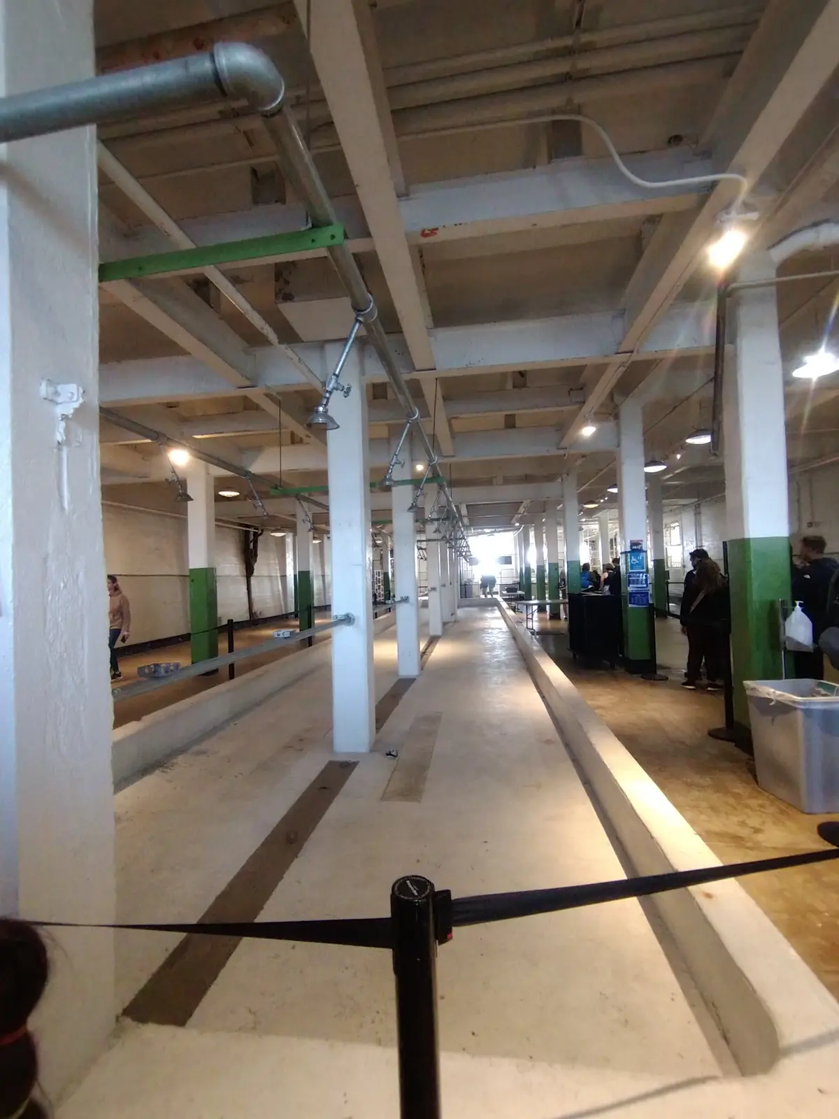 30年の時を経て…San Francisの画像_11