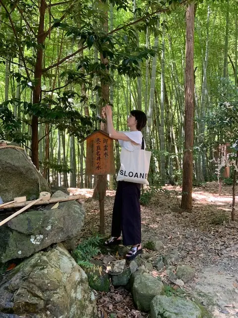 京都・パワースポットな天橋立めぐりの画像_2