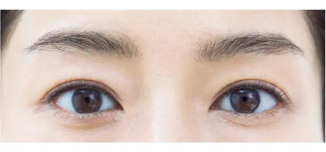 “引き締めライン”