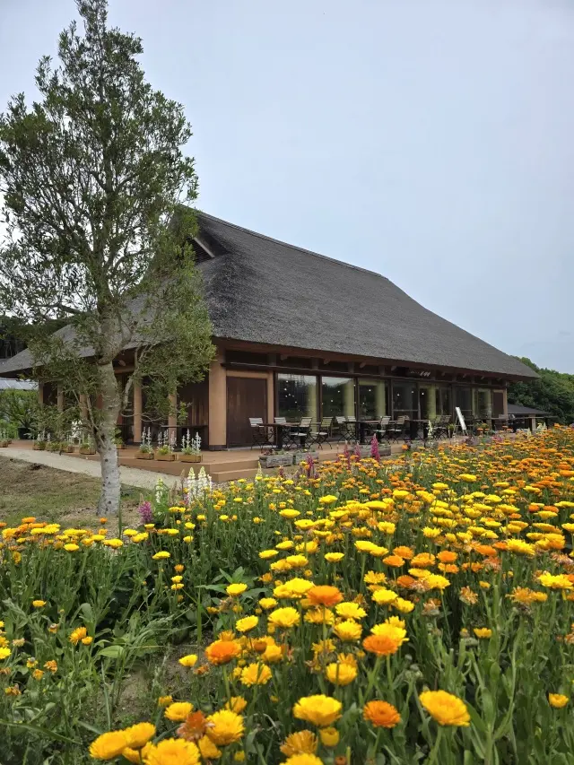 淡路島へお出掛けの画像_14