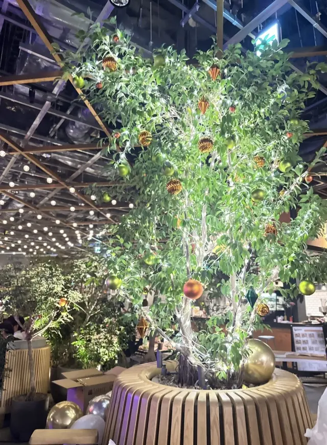 今日もラッキーデー。の画像_13