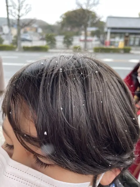 息子と奈良・京都旅行Part２の画像_6