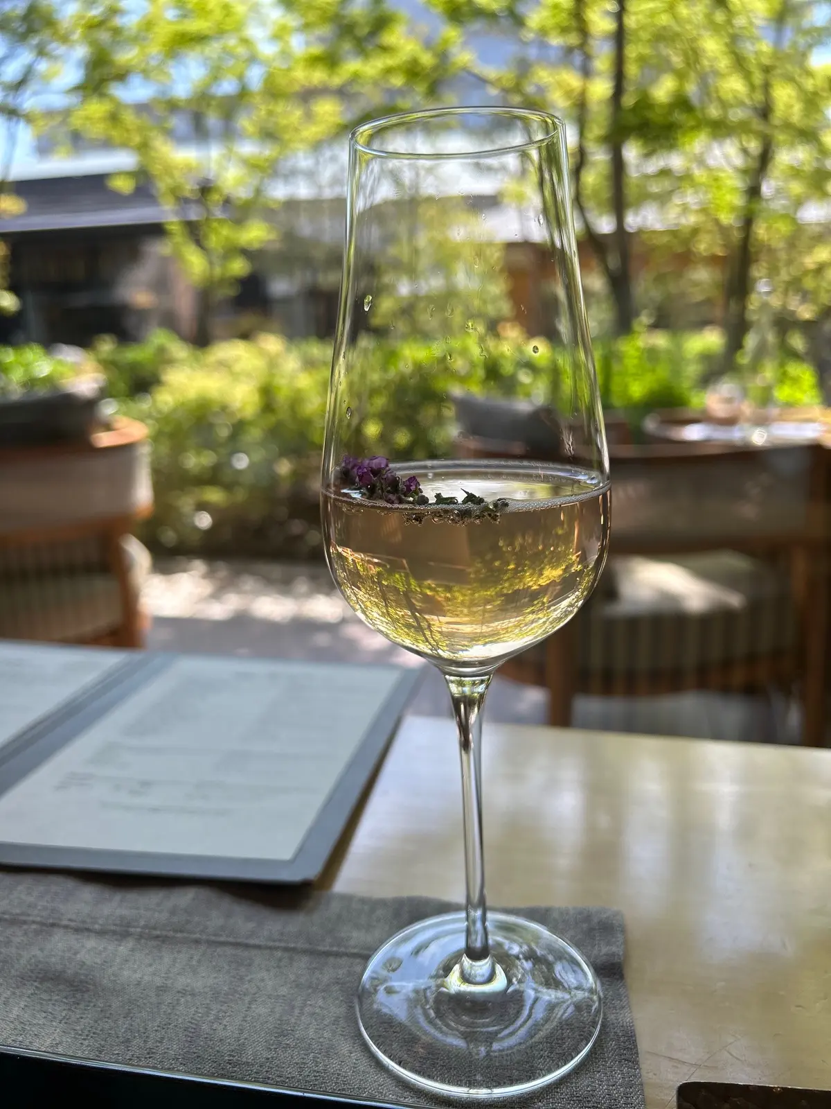 桜スカッシュで乾杯🥂
