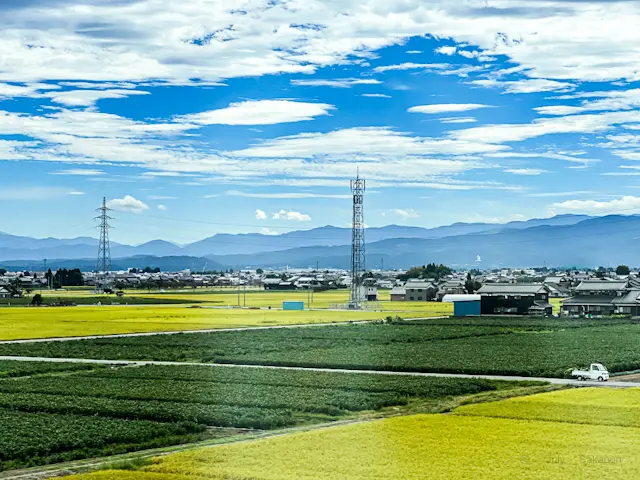 【さかぽんの夏休み】絶品海鮮と現代アートの画像_6