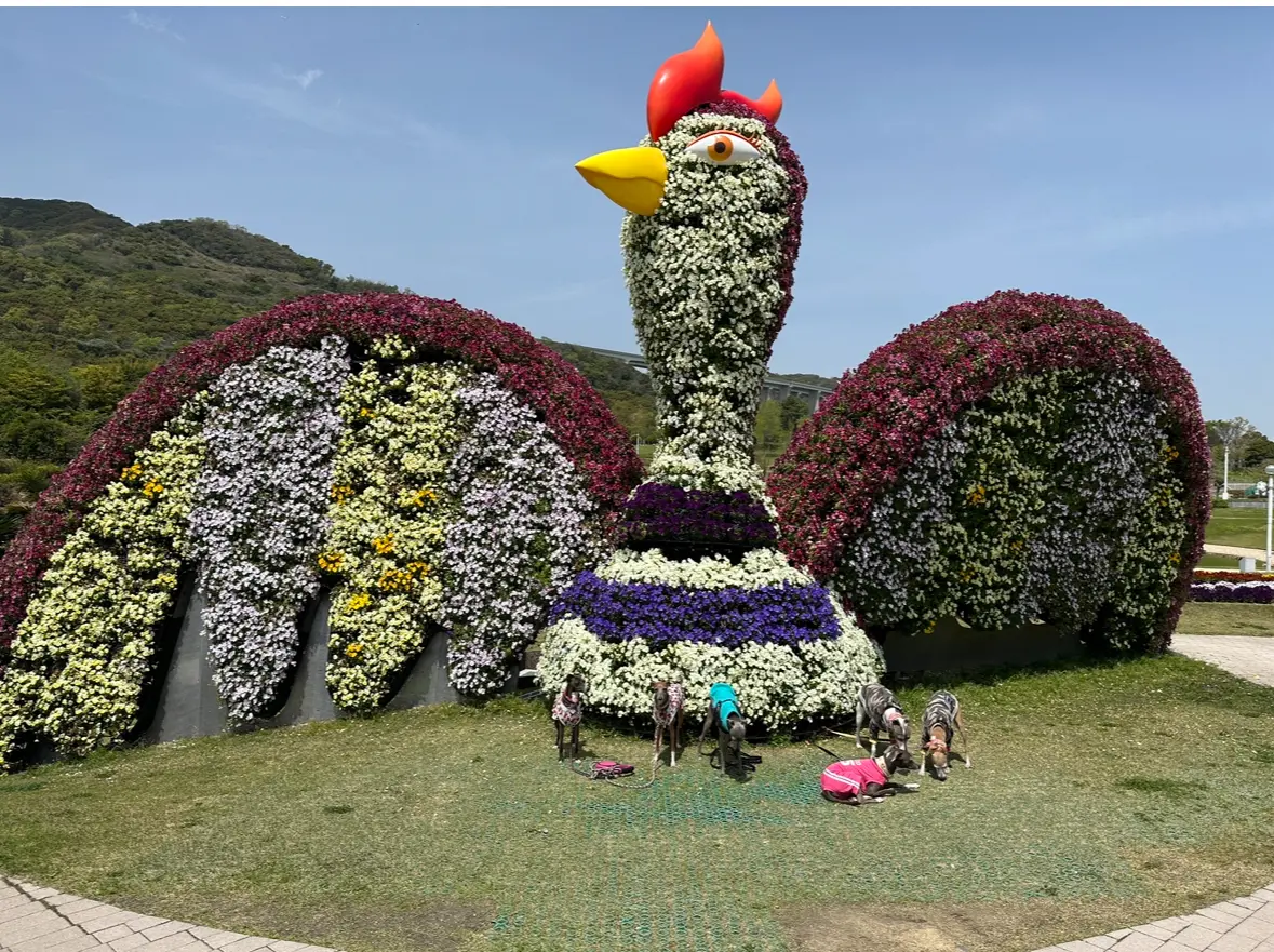 ワンズと淡路島旅行はいかが？😊の画像_14
