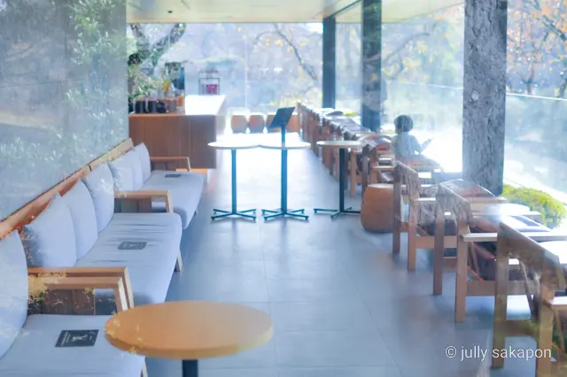 【さかぽんの冒険】プラタナス並木で ほっの画像_20