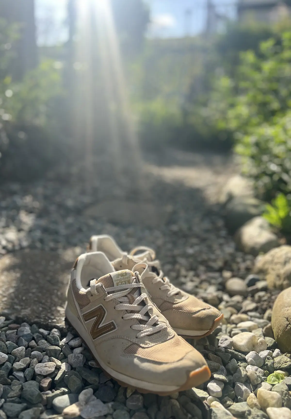 おかえりなさい♪私のスニーカーの画像_2