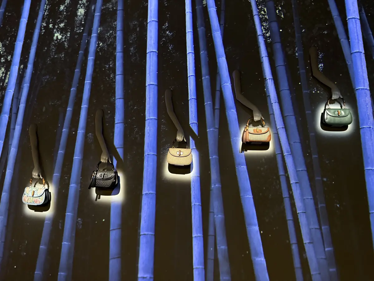 魅惑のGUCCI COSMOSへ@京都市の画像_13