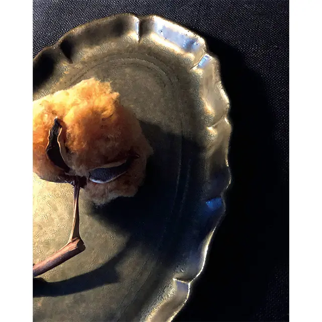 作家の息遣いが感じられる味わい深い器にときめく！