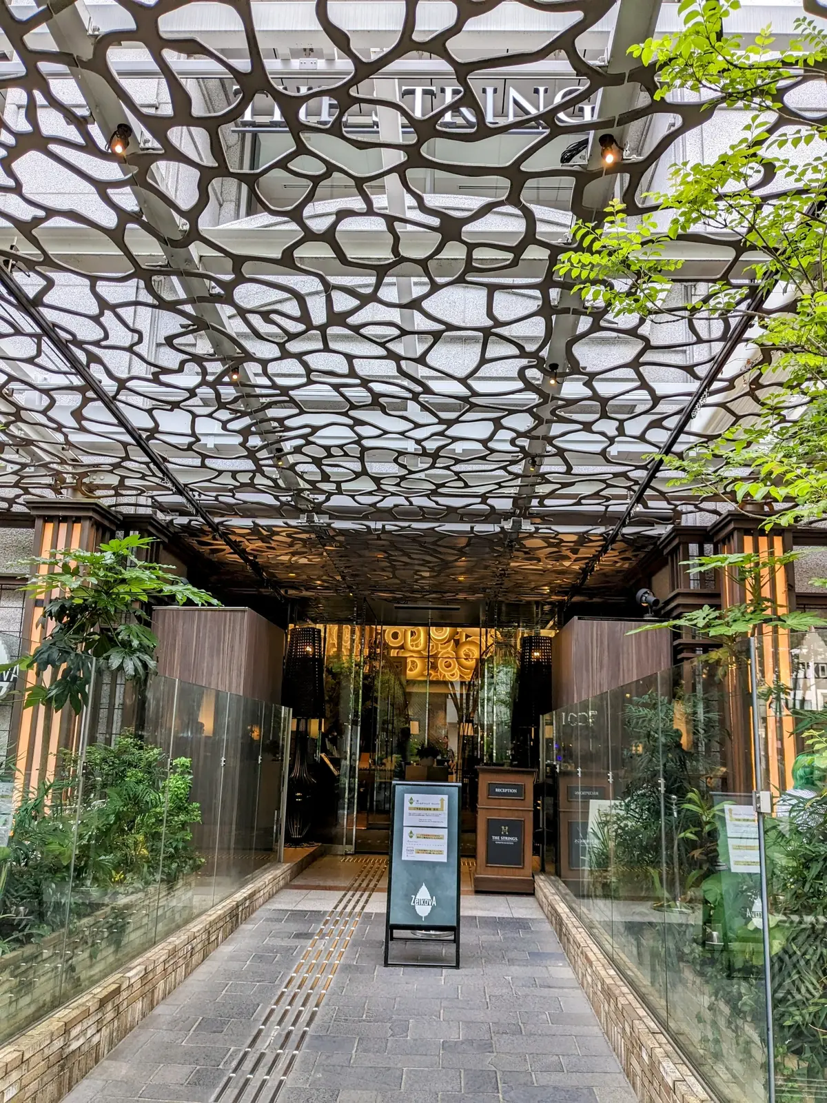 表参道の緑に囲まれた心地よいレストランでの画像_3