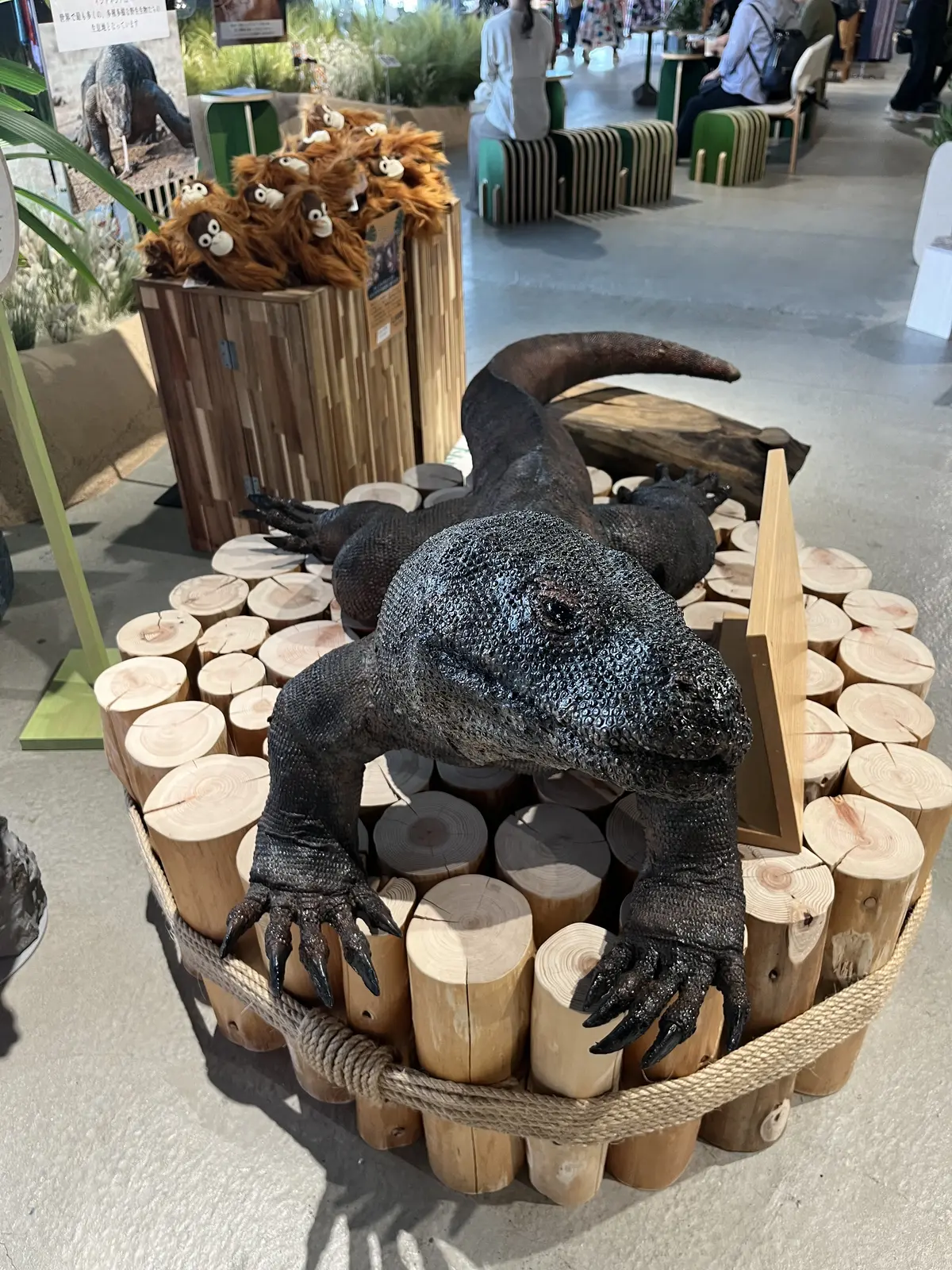 平日の原宿へ②の画像_7