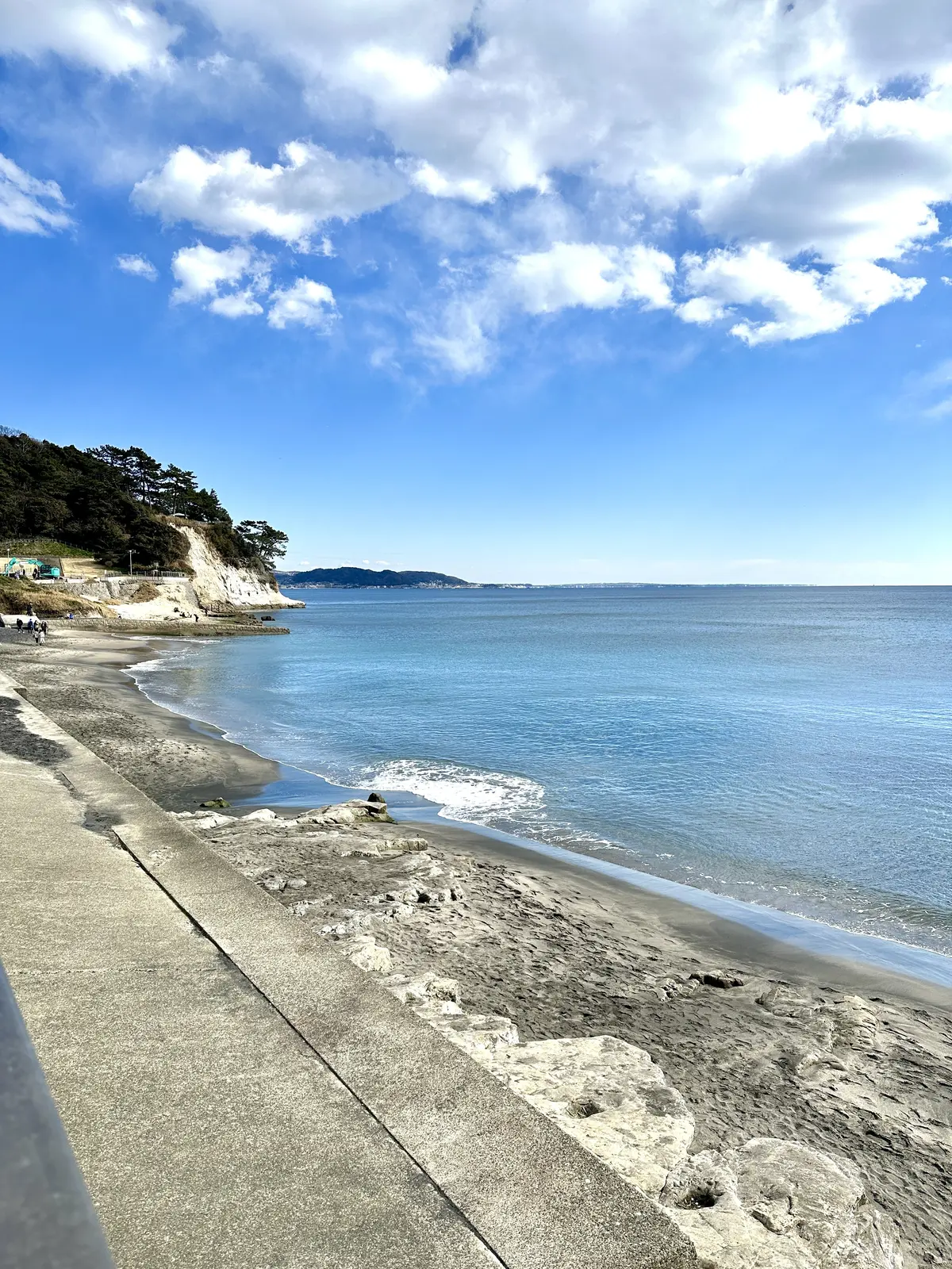 江ノ電で行く大人のアフターヌーンティーの画像_2