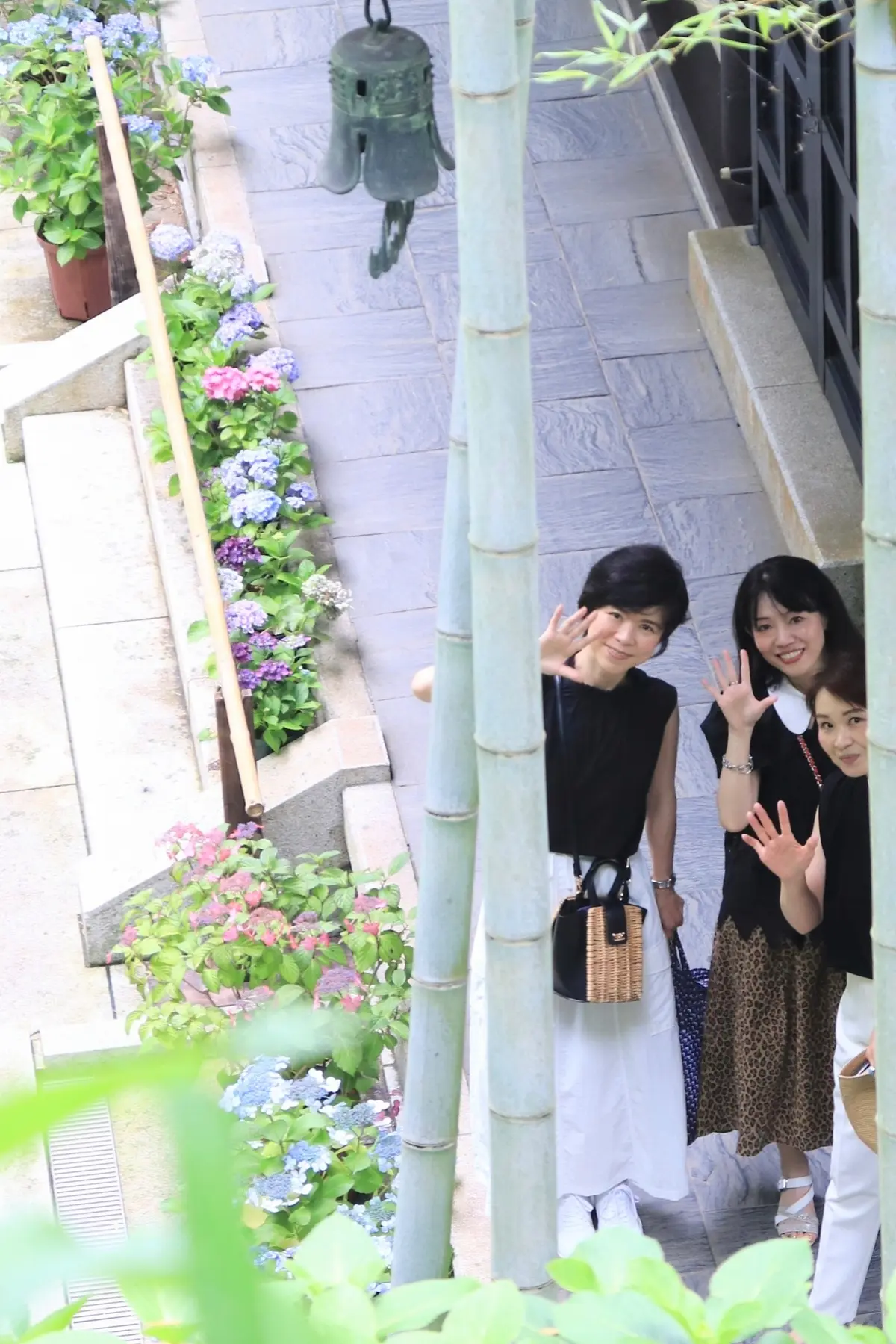 〈鎌倉〉紫陽花とランチとクリームソーダとの画像_22