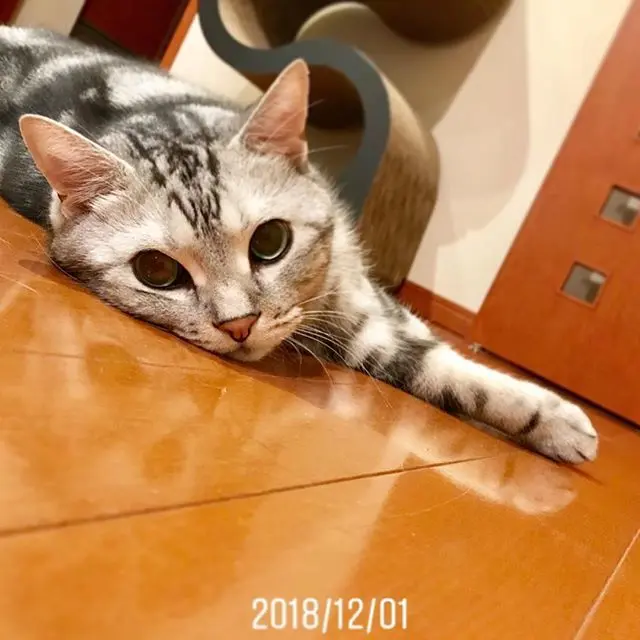 今年、去年、一昨年の画像_1